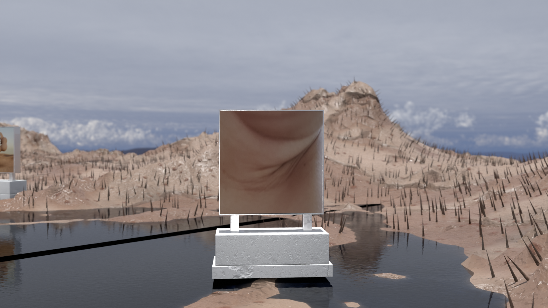 Fluid Bodies
